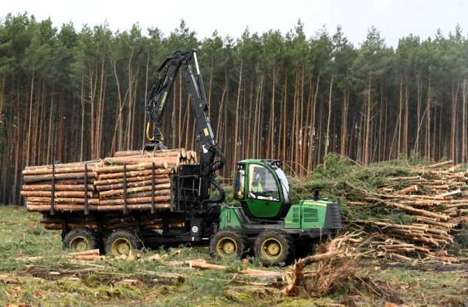 테슬라 기가팩토리4 부지에서 나무제거 작업이 재개된 모습. 사진=로이터