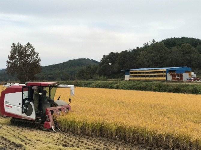 전남 장성군이 오는 26일부터 ‘2019년산 쌀 변동직불금’을 지급한다고 25일 밝혔다. /전남 장성군=제공