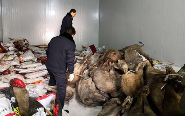 사진은 중국의 공안당국이 적발해 압수한 야생동물의 사체.