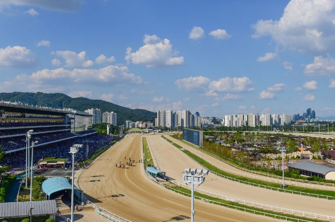 경기도 과천시 서울경마공원 전경. 사진=한국마사회 