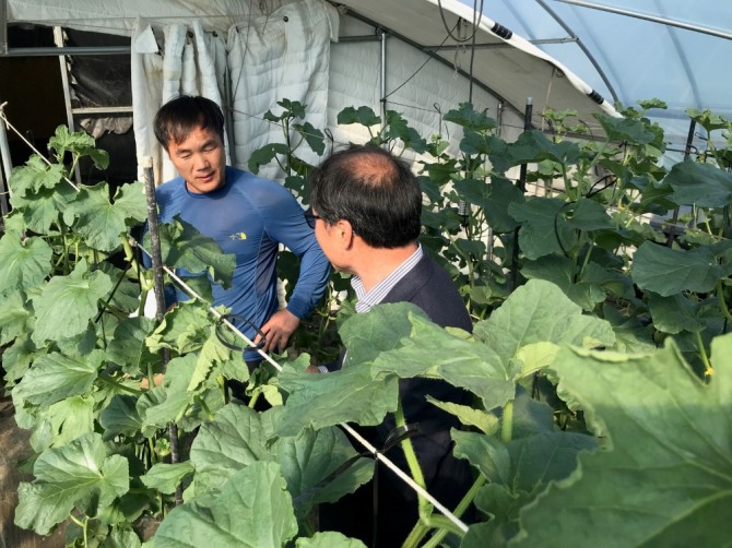 지난 19일 전남 곡성군(군수 유근기)이 고품질 브랜드 멜론 육성사업 농가를 대상으로 곡성농협APC 회의실에서 컨설팅을 진행했다. / 전남 곡성군=제공