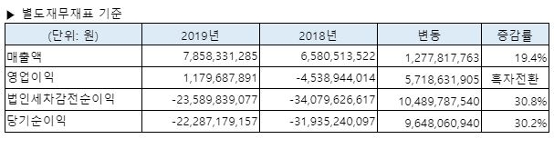 넵튠 2019년 별도 재무제표. 자료=넵튠