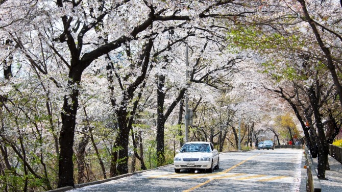 광진구 워커힐길. 사진= 서울시 제공