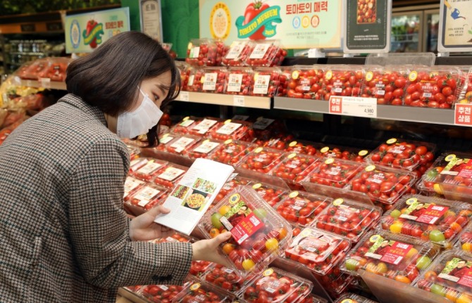 이마트가 4월 22일까지 토마토 전문 매장 '토마토 뮤지엄'을 운영한다. 사진=이마트