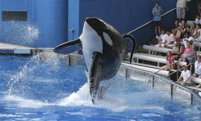 미국 해양테마공원 씨월드(SeaWorld)는 코로나19 사태로 4월 1일부터 직원의 90% 이상을 일시 해고한다. 사진=씨월드