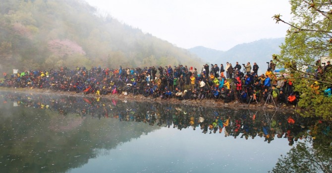  전남 화순군은 신종 코로나바이러스 감염증(코로나19) 확산을 막기 위해 세량지 단체 출사를 금지한다고 밝혔다.사진=화순군 제공