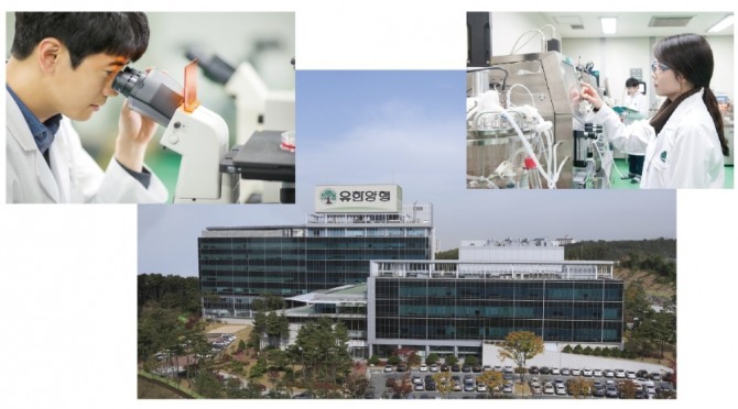 (주)유한양행은 R&D 투자를 늘리면서 매년 2000억원 이상의 수출을 올리고 있다. 사진 위쪽은 유한양행 연구원들이 신약개발 등을 연구하는 모습. 사진 아래쪽은 경기도 용인시 기흥구 소재 유한양행 중앙연구소 전경.(사진 = (주)유한양행 제공)