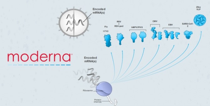 하버드대 의대 교수인 티모시 스프링거는 미국 생명공학 회사인 모데나 주식회사의 지분 투자 수익율이 투자금의 170배인 17,000%의 경이적인 수익율을 기록한 것으로 알려졌다. 사진=모데나 홈페이지