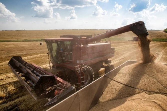 우크라이나의 하반기 밀 수출이 근 17% 감소한 것으로 나타났다. 사진은 밀 수확 모습. 사진=글로벌이코노믹DB