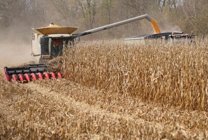 영국 정부는 미국의 농산물 수입품에 대해 관세 삭감 계획을 세우고 있다. 사진 = 로이터