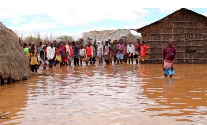 케냐는 올해 코로나19 사태, 홍수 및 메뚜기 떼로 인해 충격에 빠졌다. 사진=로이터