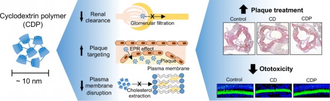 사이클로덱스트린 폴리머 나노입자의 장점 및 치료 효과를 보여주는 모식도. 사진=KAIST
