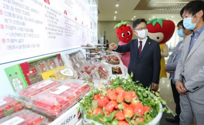 김현수 농식품부 장관(왼쪽)이 10일 정부세종컨벤션센터에서 개최된 딸기 수출 혁신 전진대회에 참석해 현장을 둘러보고 있다. 사진=농림축산식품부