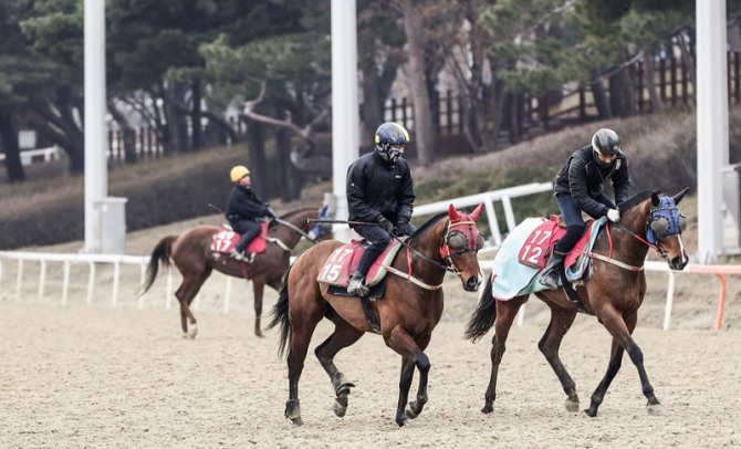 코로나19 여파로 휴장에 들어간 기간에도 경마 훈련을 하고 있는 기수와 경주마들. 사진=한국마사회