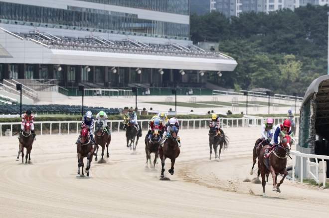 경기 과천 한국마사회 서울경마공원에서 경주마와 기수들이 경주하는 모습. 사진=한국마사회 