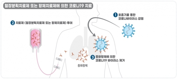 최근 주목받은 '혈장치료'와 '혈장치료제'는 다른 개념으로 혼동해서 사용하면 안된다. 사진은 혈장치료제의 치료방식을 설명하는 그림. 사진=식품의약품안전처