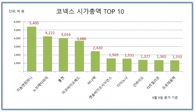 코넥스 시장 시가총액 TOP 5  자료=한국거래소