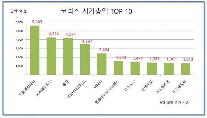 코넥스 시장 시가총액 TOP 10  자료=한국거래소