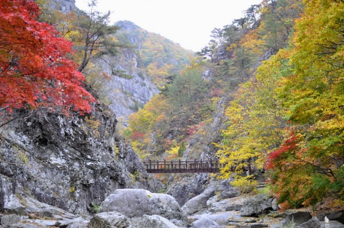 주왕산 절골계곡. 사진=주왕산국립공원사무소 제공