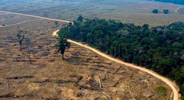 삼림이 파괴되고 있는 아마존 열대우림지역 모습. 