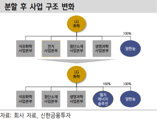 LG화학 분할 후 사업구조, 자료=신한금융투자