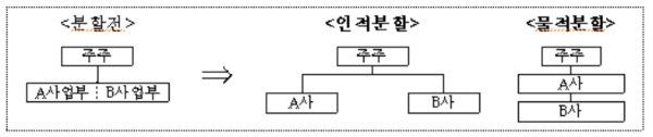 인적분할, 물적분할 차이, 자료=금융위원회