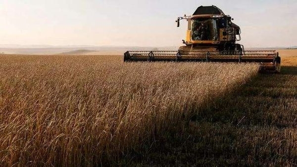 세계 최대 곡물수출국인 러시아의 한 농부가 밀을 수확하는 모습. 러시아는 지난 4~6월까지 밀 등 곡물수출을 유럽연합 이외의 국가에 대해 금지했다. 사진=바이두 캡처
