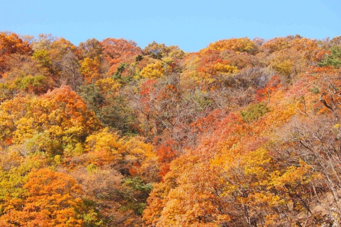 강원도 설악산을 시작으로 단풍이 시작됐다. 사진=국립공원공단