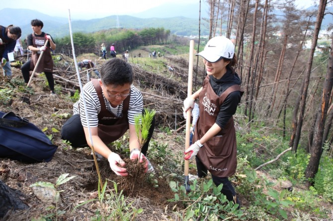 AK플라자 임직원들이 강원도 강릉시의 한 야산에 애경 숲 1호를 조성하는 모습. 사진=AK플라자