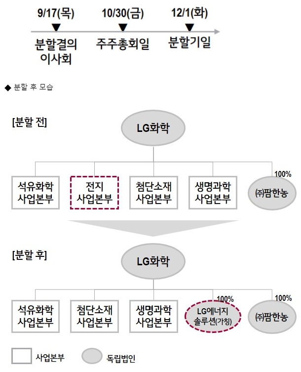 LG에너지솔루션 분사 주요 일정. 그래픽=LG화학 뉴스룸