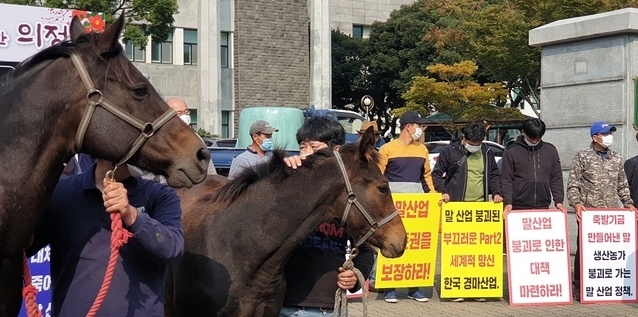 제주말산업발전비상대책위원회가 18일 오후 제주특별자치도의회 정문 앞에서 발대식을 열고 경주마생산자 생존권 위협에 대한 농림축산식품부의 정책 수립을 촉구하고 있다. 사진=뉴시스 