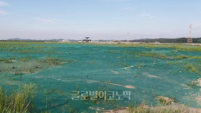 경기도 화성시 송산면 송산그린시티 사업부지 내 공원예정부지에 한국수자원공사가 폐기물처리업체 광암이엔씨 소유의 35만입방미터 규모의 순환골재를 매립하고 보호망을 덮어둔 모습. 사진=김철훈 기자 