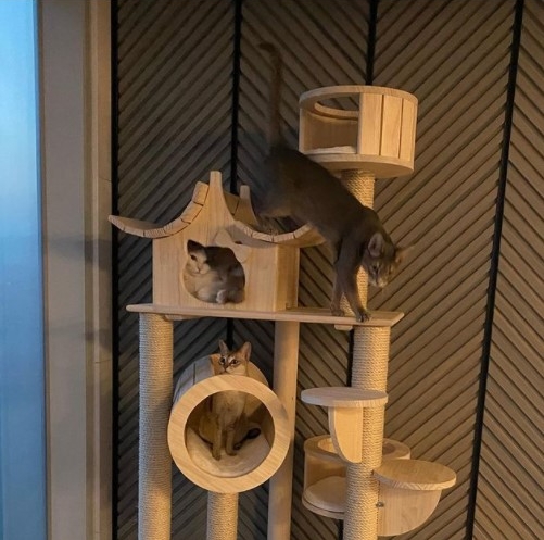 사진=서강준 인스타그램 캡처