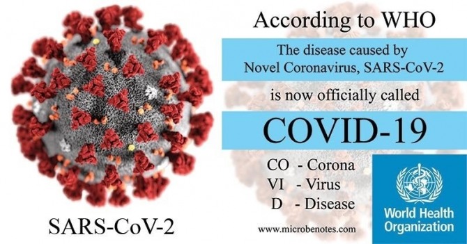 코로나 바이러스 사진=WHO 
