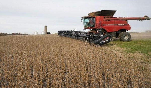 미국 인디애나주 로치데일에서 콩을 수확하는 모습. 사진=로이터