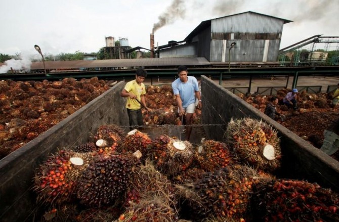 미국이 31일(현지시간) 말레이시아 기업 사임다비의 팜유 제품 수입제한 조치를 발표했다. 사진 = 로이터