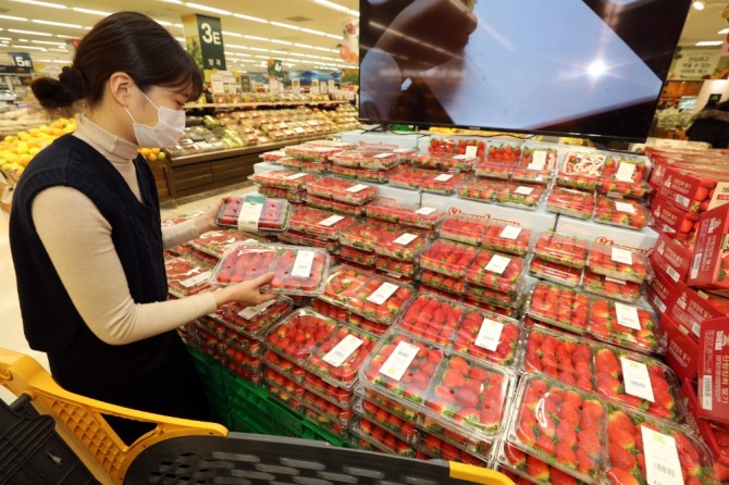 이마트의 2020년 12월 한 달 딸기 매출은 130억 원을 돌파했다.  사진=이마트