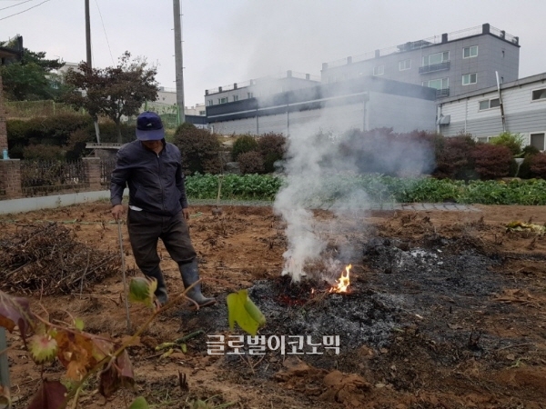 농업 잔재물 불법소각 모습
