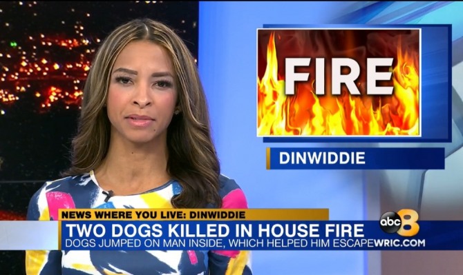 불이 난 집에서 잠자던 주인을 깨워 피신시키고 생명을 잃은 반려견 두 마리의 소식을 보도한 ABC 8New의 방송 장면. 사진=ABC 화면 캡처