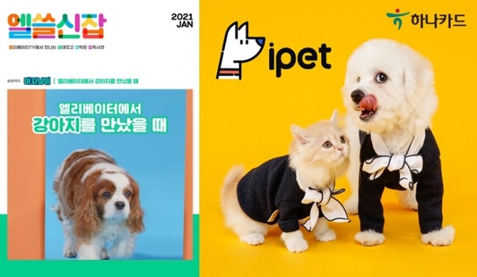 코로나19 사태로 인한 경기침체에도 ‘펫코노미(펫(pet)과 경제(economy))’ 시장은 가파르게 성장하면서 신용카드사들이 관련 서비스 출시에 분주한 모습이다. 사진=삼성카드, 하나카드