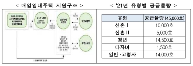 매입임대주택 지원구조와 올해 유형별 공급물량. 자료=국토교통부