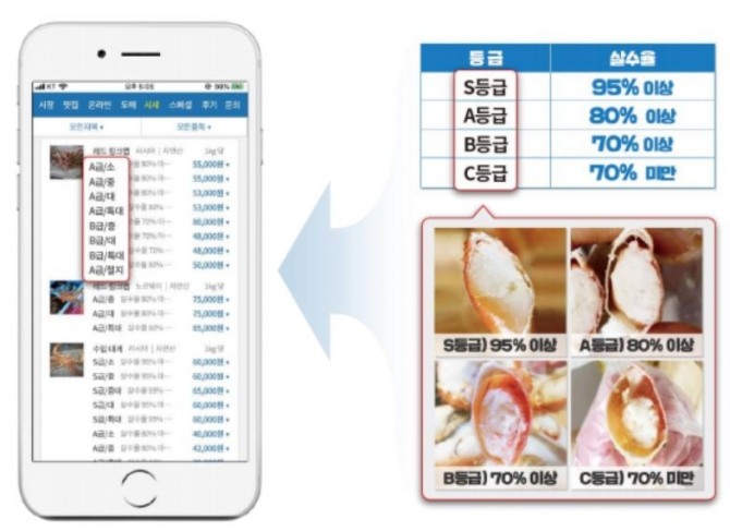 인어교주해적단은 수산물을 4개 등급으로 나눠 상품의 신뢰도를 높였다. 사진=더 파이러츠