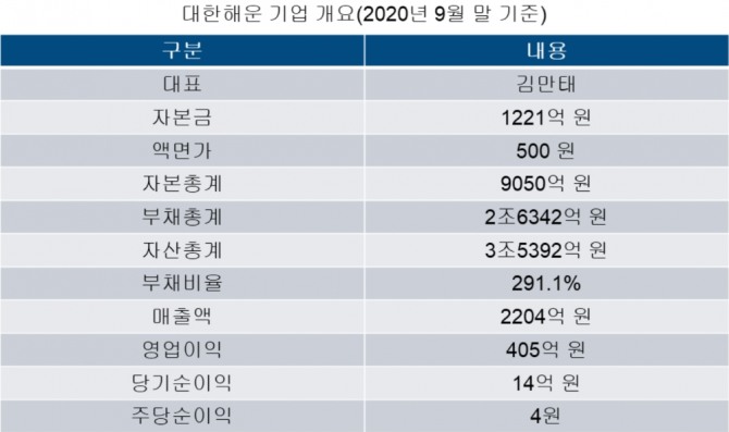 대한해운 기업 개요 이미지. 사진=자체제작