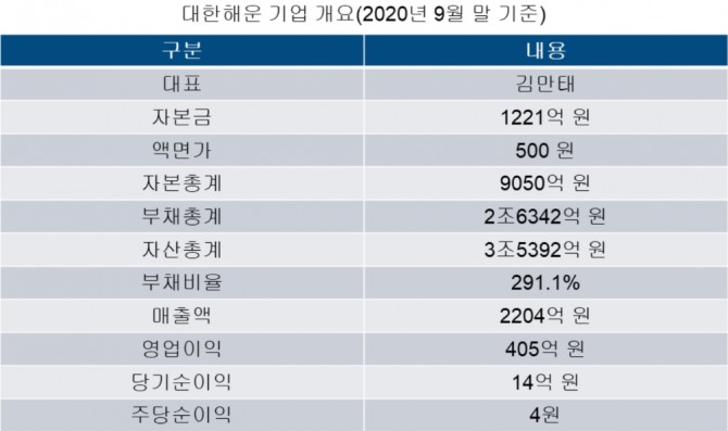 대한해운 기업 개요 이미지. 사진=자체제작