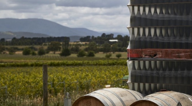 호주 와인 산업이 중국과의 무역 갈등으로 인해 수출이 급감, 와해 위기에 놓였다. 사진=CNN