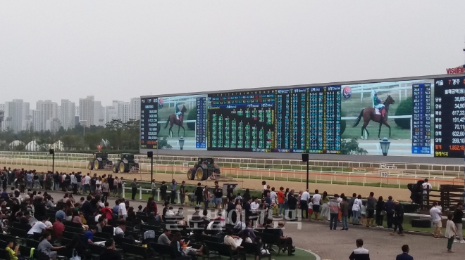 2019년 9월 경기 과천 한국마사회 서울경마공원에서 관객들이 경주 준비작업을 지켜보고 있다. 사진=김철훈 기자 