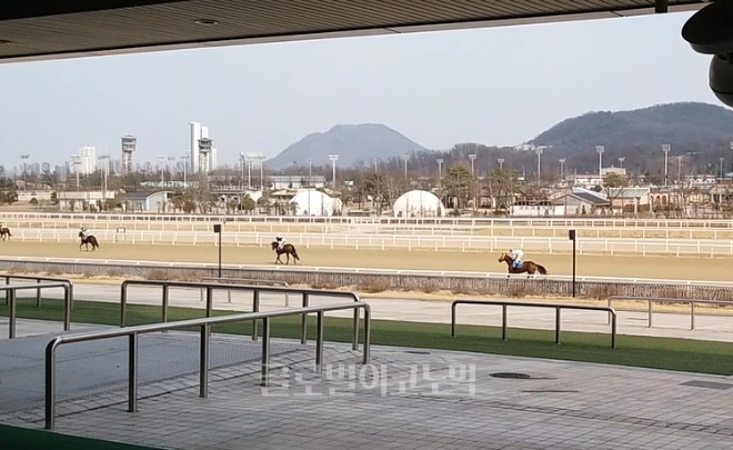 2021년 3월 경마 관계자들이 경기 과천 한국마사회 서울경마공원에서 경주마와 훈련을 하고 있다. 사진=김철훈 기자 