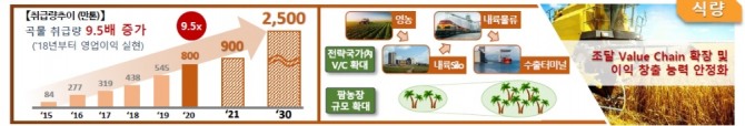 포스코인터내셔널의 곡물 사업 로드맵 이미지. 사진=포스코인터내셔널