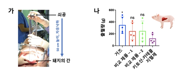 비임상시험에서 키토산-카테콜 지혈제의 지혈 효과. 사진=KAIST