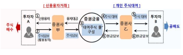 개인대주제도 구조, 자료=금융위원회